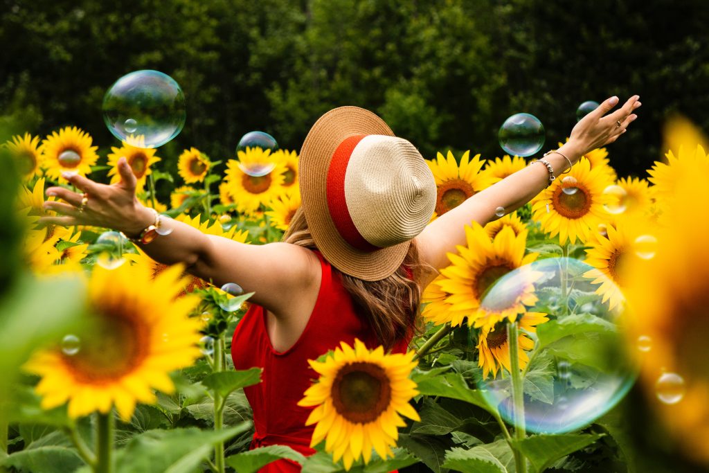 beautiful-bloom-blooming-1263985 (1)