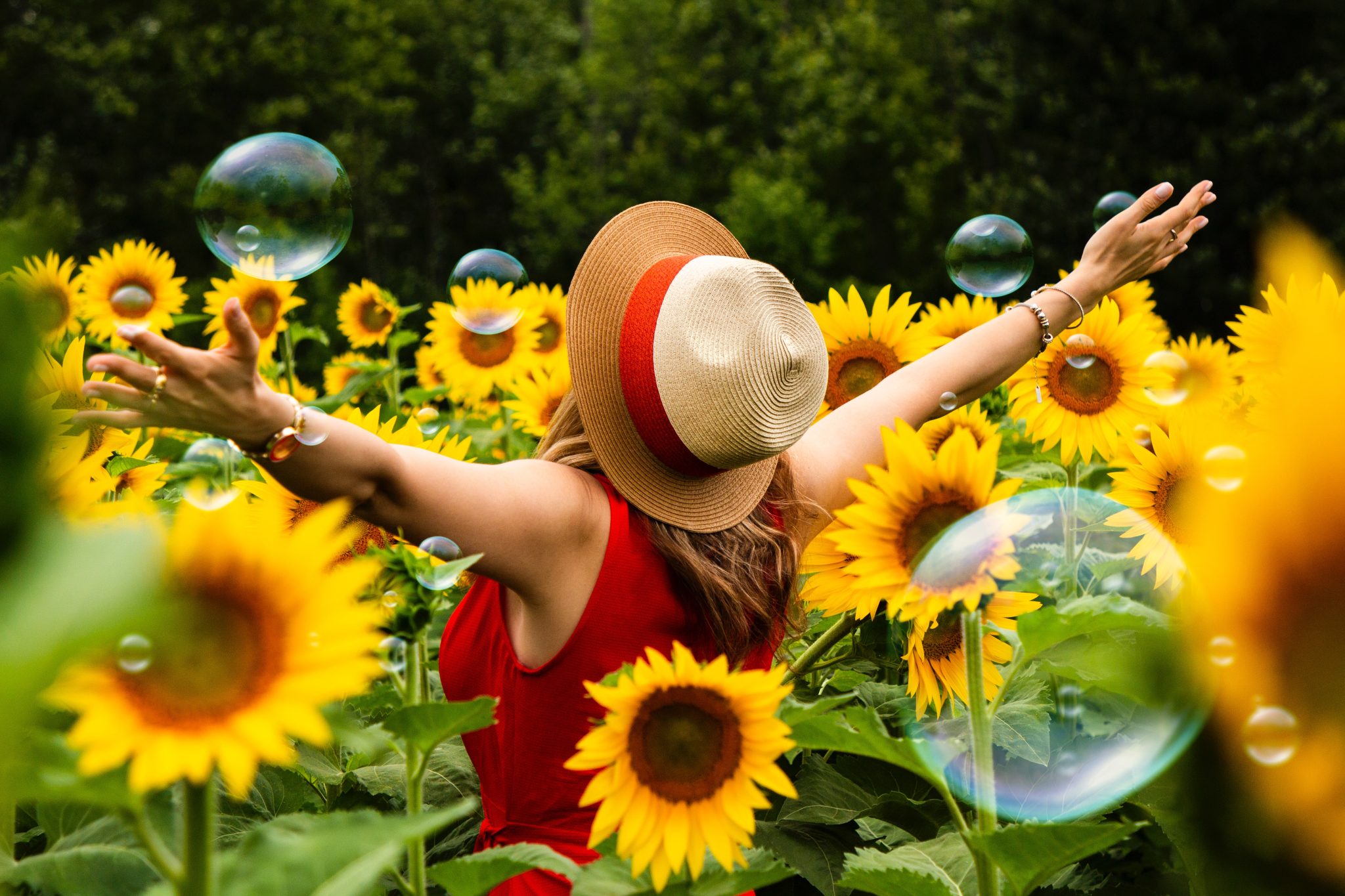 beautiful-bloom-blooming-1263985 (1)